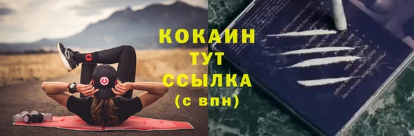 ешки Вязьма