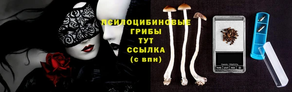 таблы Вяземский