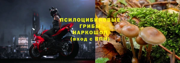 твердый Вязники